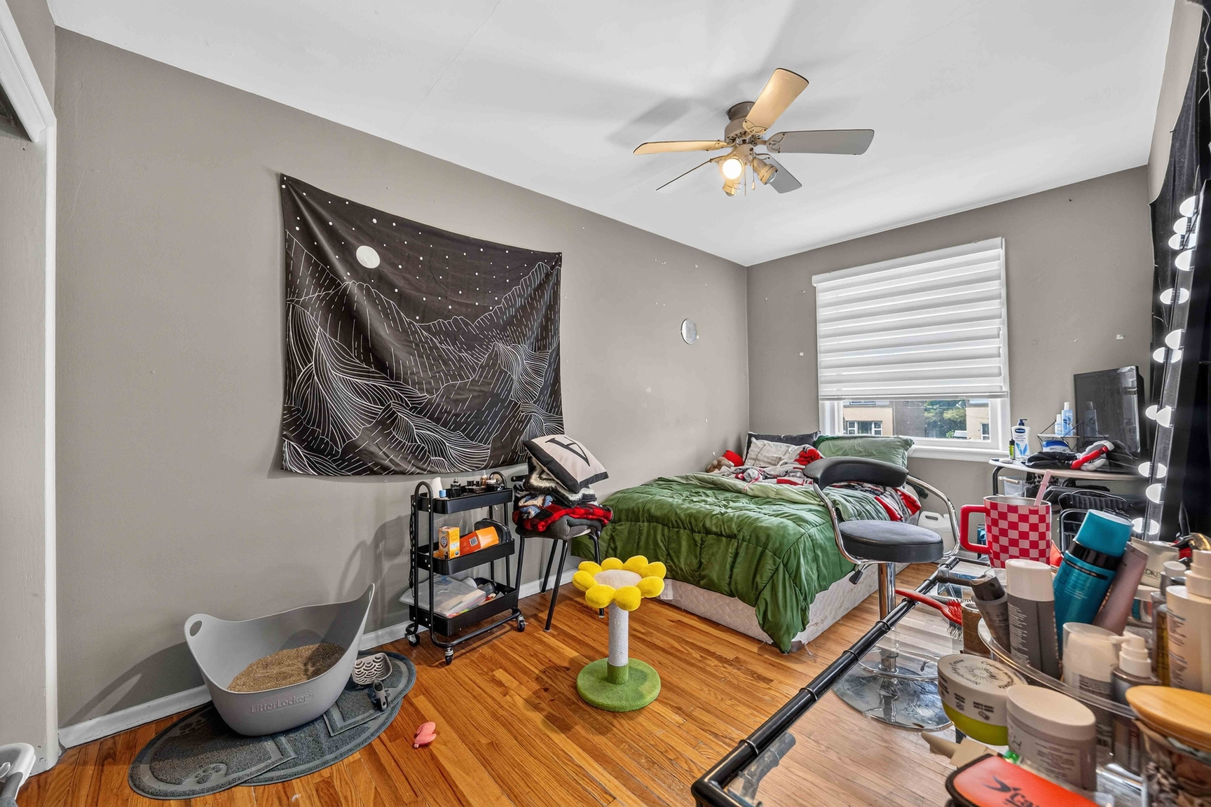 Gallery Photos