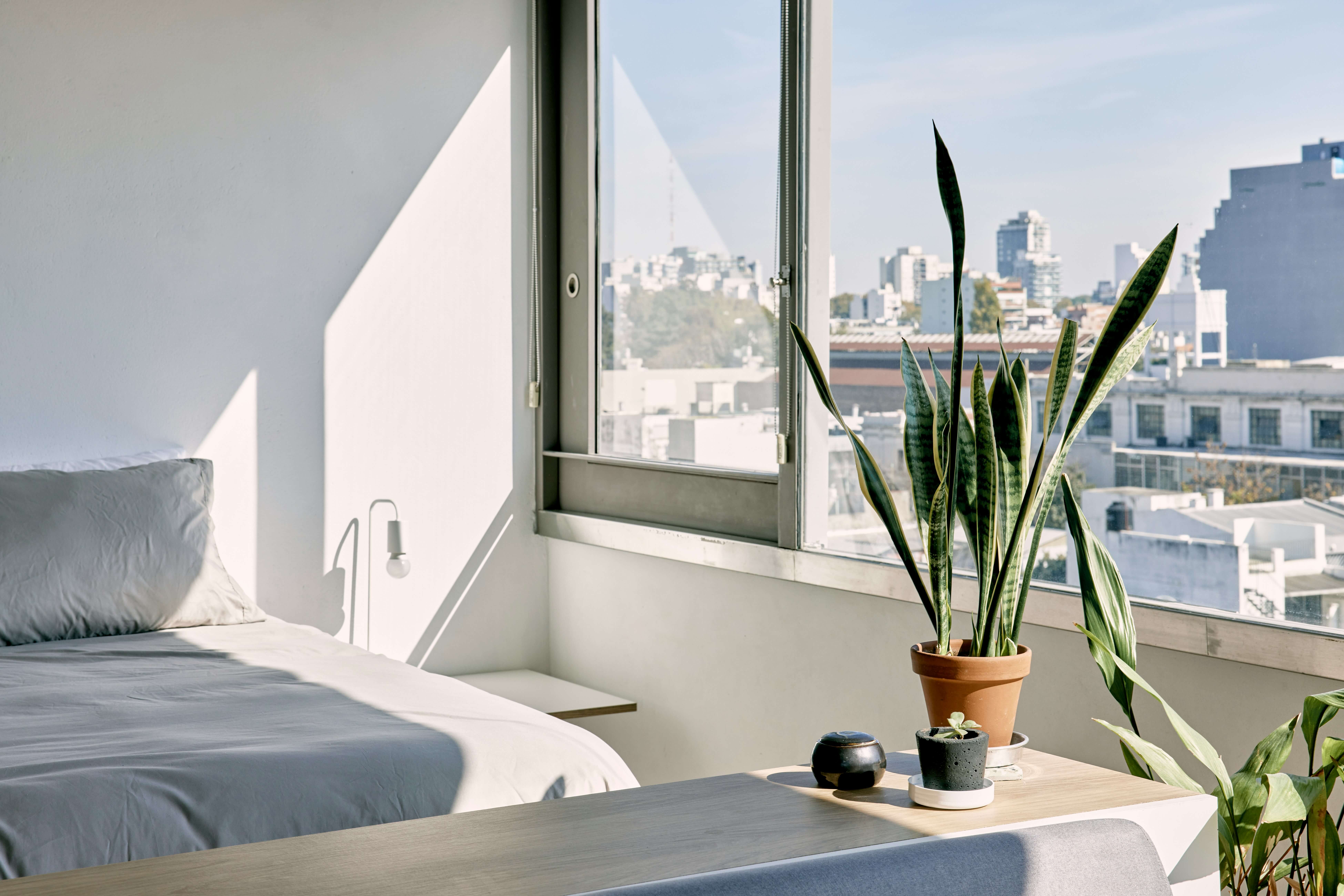 New to Edmonton or Calgary? A Renter's Guide to Getting Oriented Image