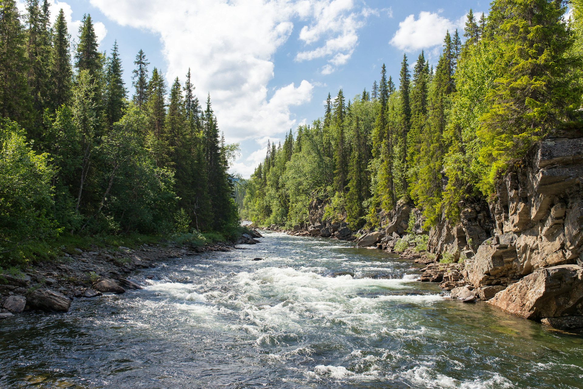 Edmonton's River Valley and What It Can Mean for Your Rental Search Image