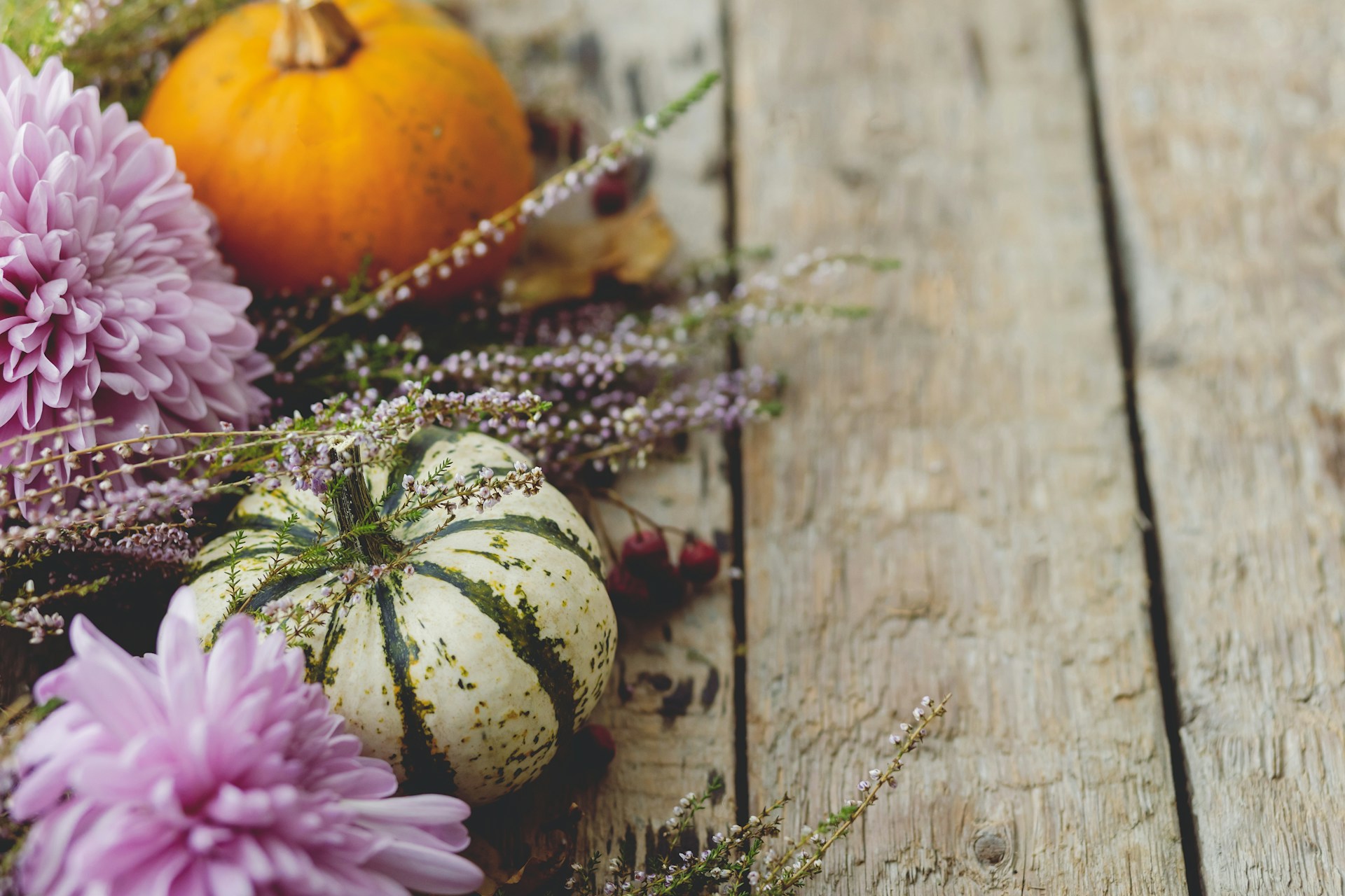 How to Transition Your Rental from Summer Mode to Fall Image