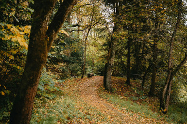 Fall Things to Do Near Your Edmonton or Calgary Rental Image