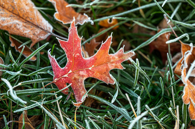 Your First Alberta Winter as a Renter: What to Actually Expect Image