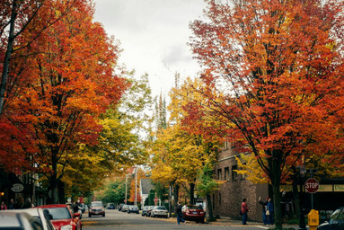 Hidden Gems: Up-and-Coming Edmonton Neighbourhoods Worth Renting Image