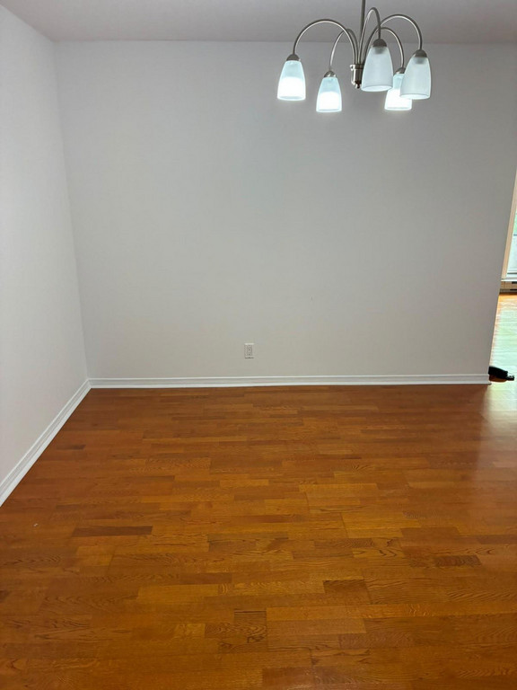 Gallery images