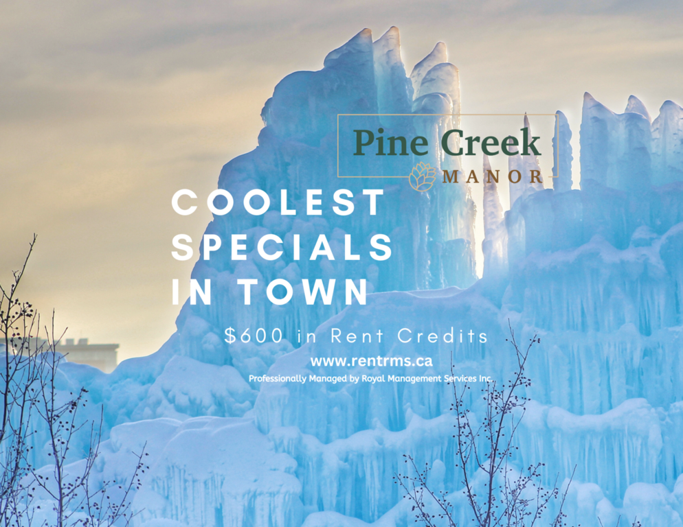 One Month Free Rent Jackson Heights Edmonton Royal Management