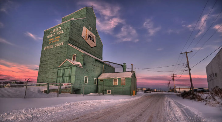 Spruce Grove Image