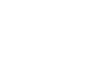 Company Logotype