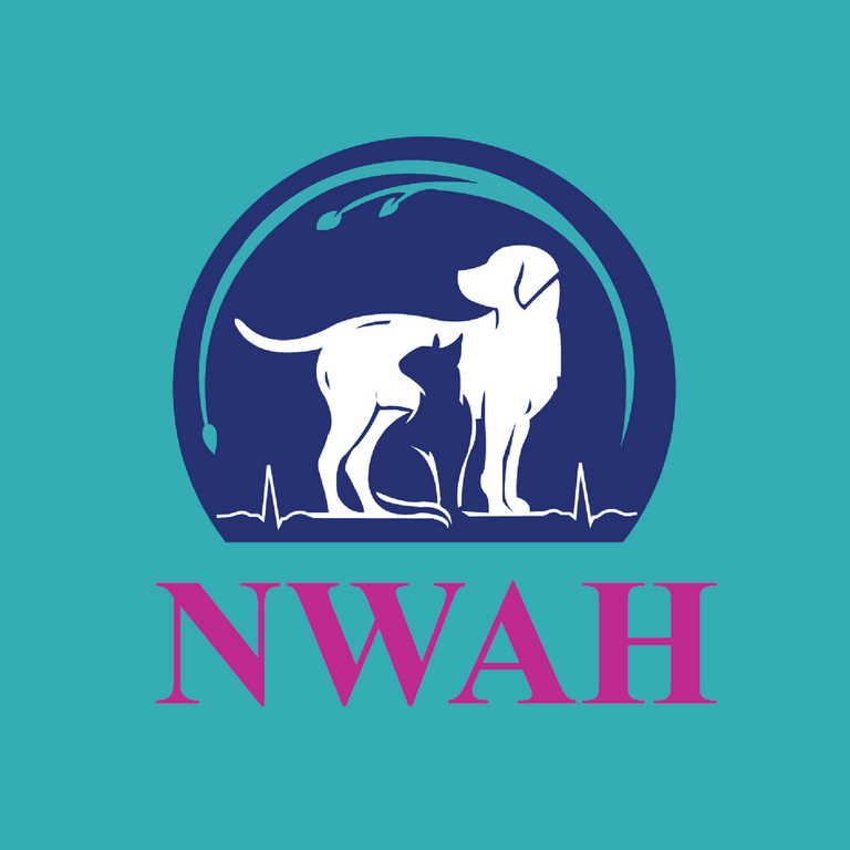 FEATURED BRANDS & SERVICES FEATURED BRANDS & SERVICES Brand Image