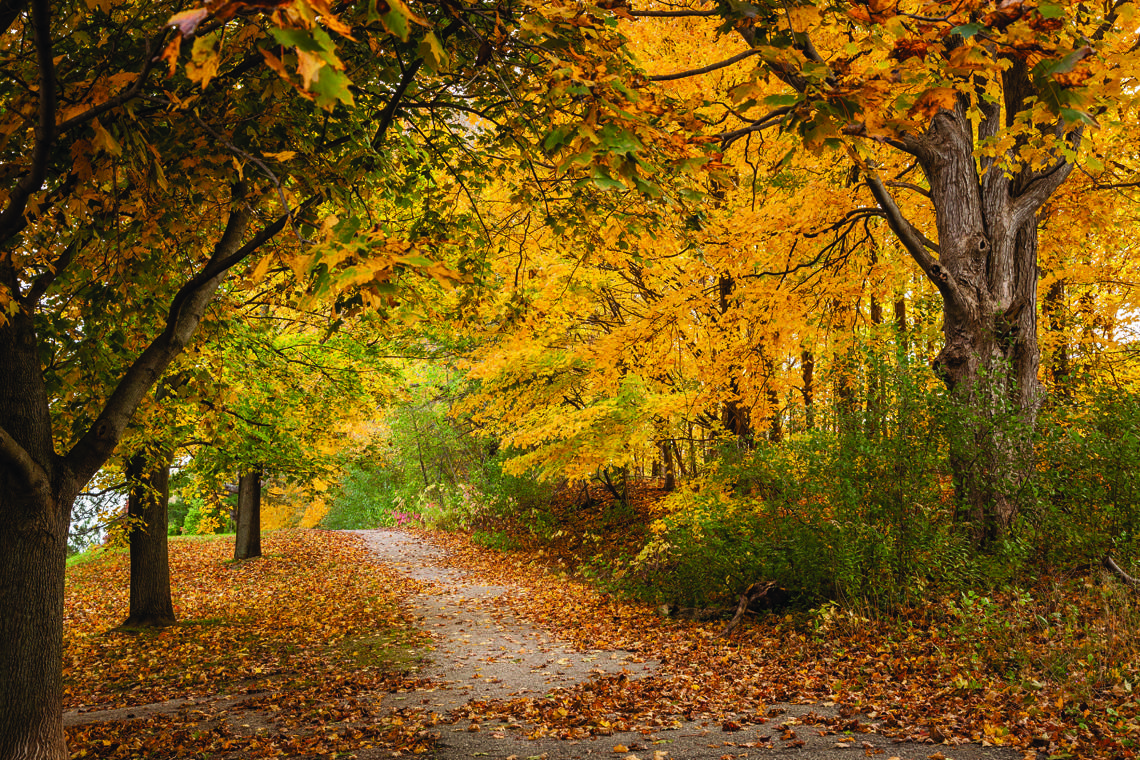 Kitchener Parks & Greenspace
