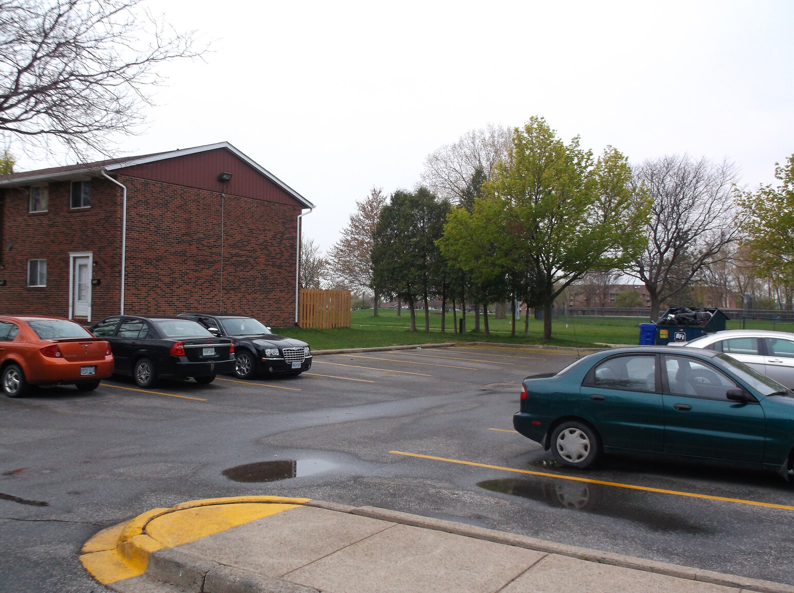 Photo 8