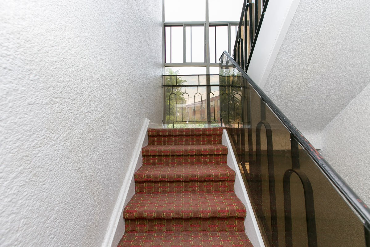 8 Hector Avenue, Toronto, ON M6N 2M1 — photo 3