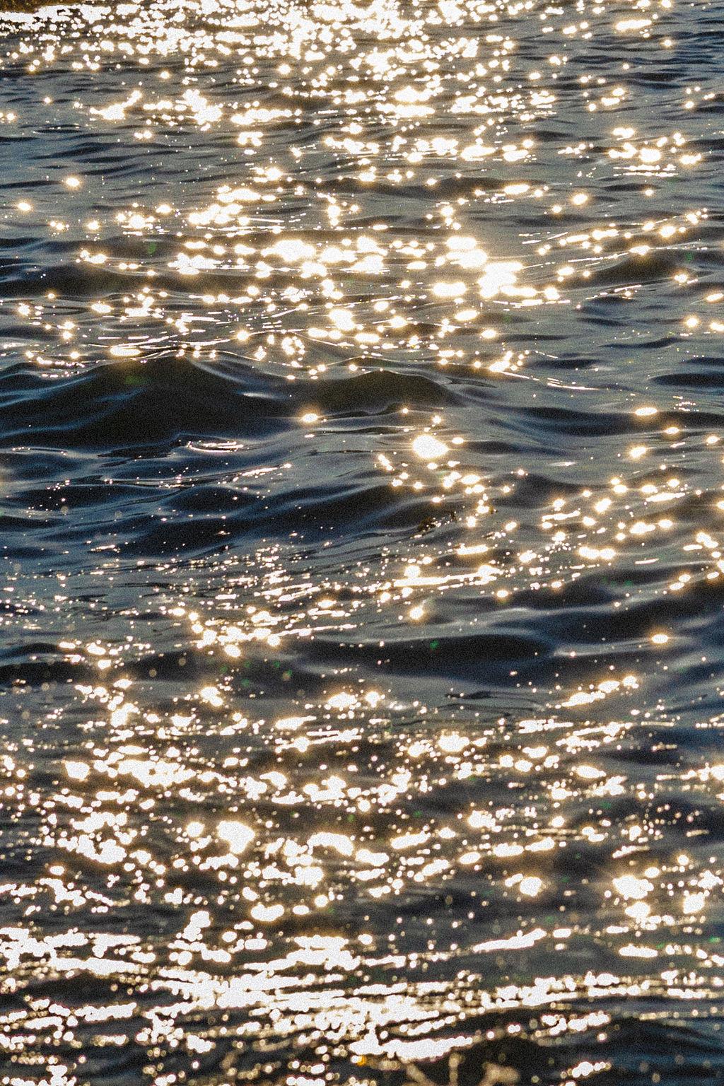 Some flower pots on steps with yellow and purple flowers