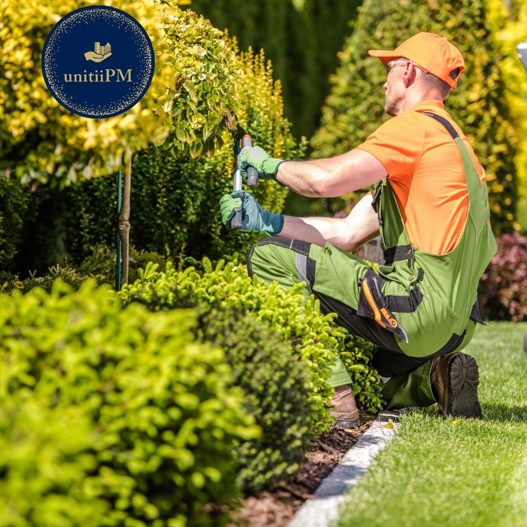 top-5-landscaping-tips-from-calgary-property-management-experts