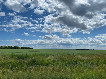 Manitoba prairie skyline