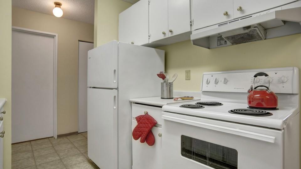 Prince Albert Apartments and Houses For Rent, Prince Albert Rental