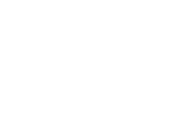 Company Logotype