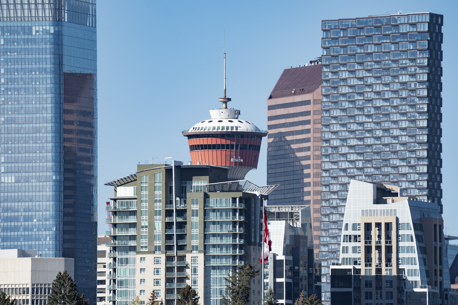 Calgary Renters Guide