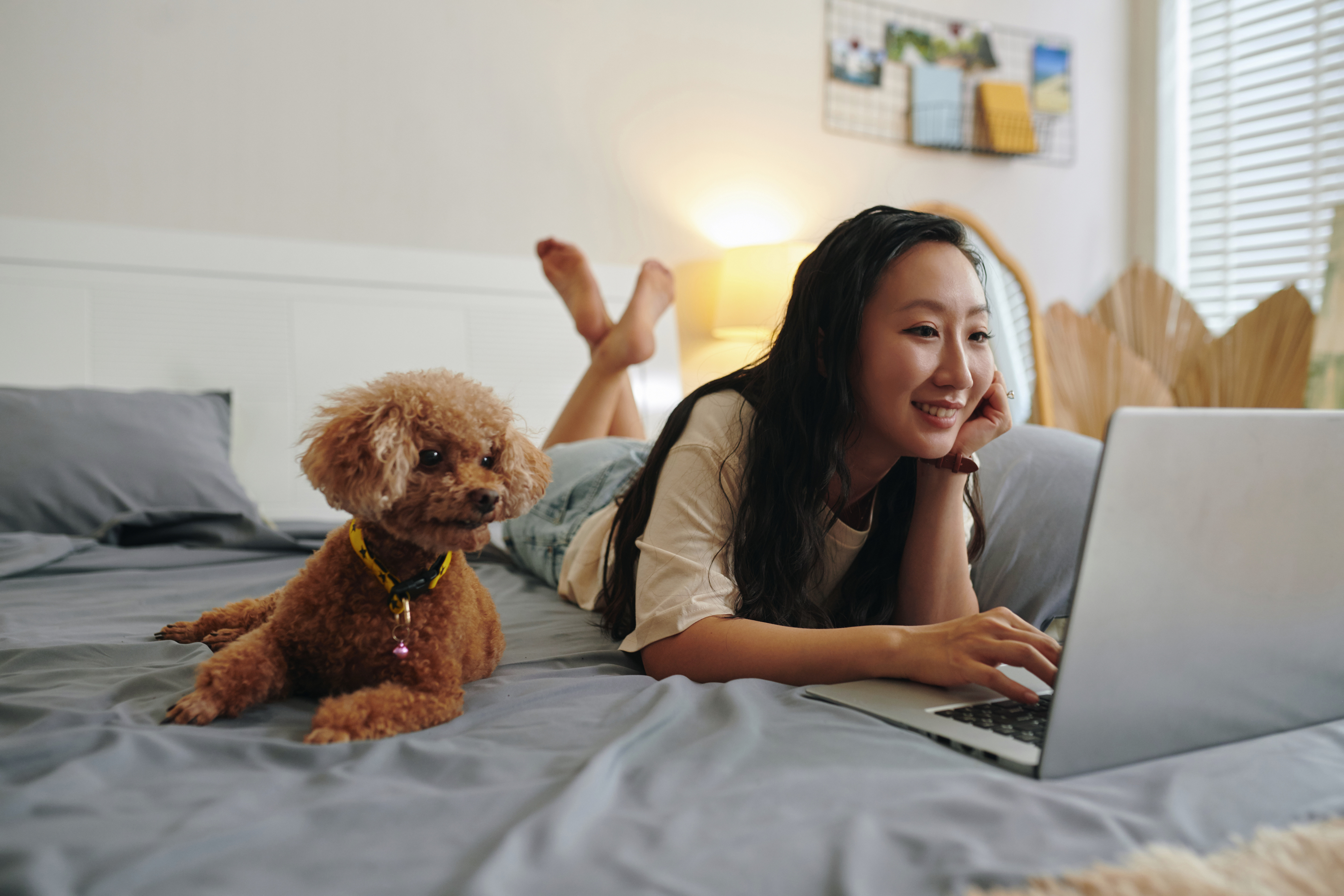 Renting with Pets