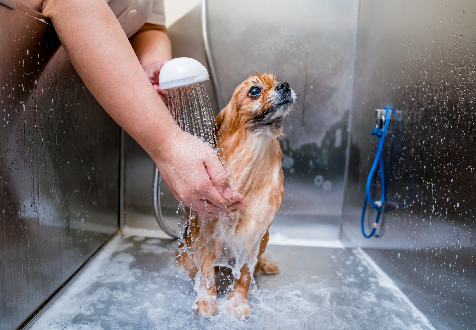 Amenities Section Image