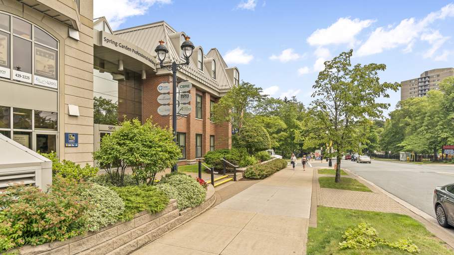 Spring Garden Road Professional