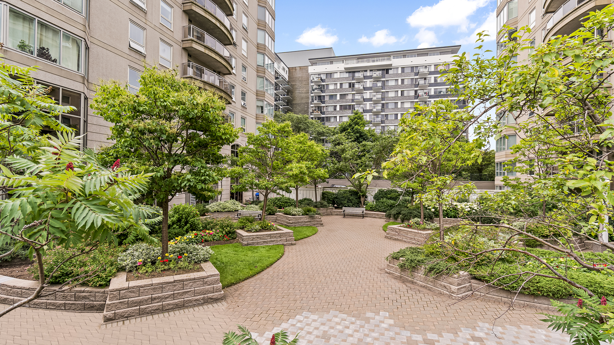 Beating the Winter Blues: Image