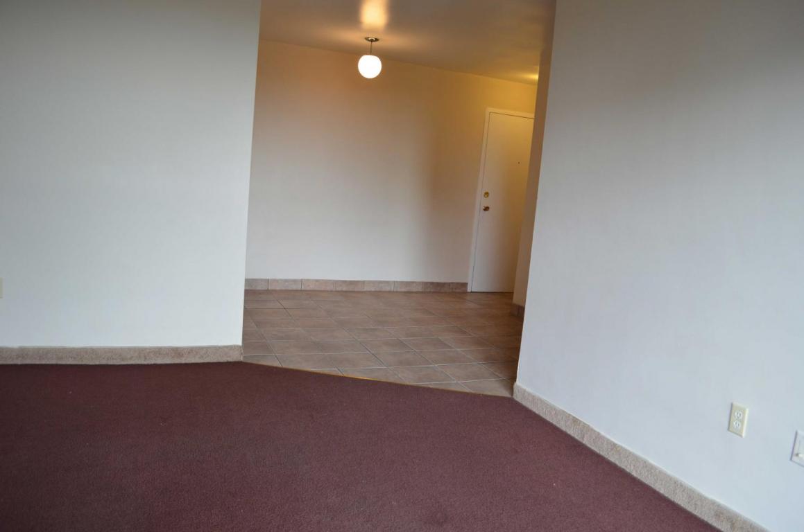 Dundas Apartments Downtown for Rent London York Property Management