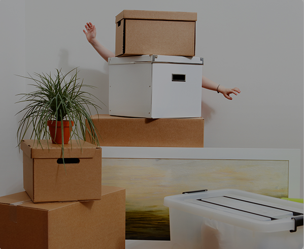 Moving boxes: How to pack your house strategically Image