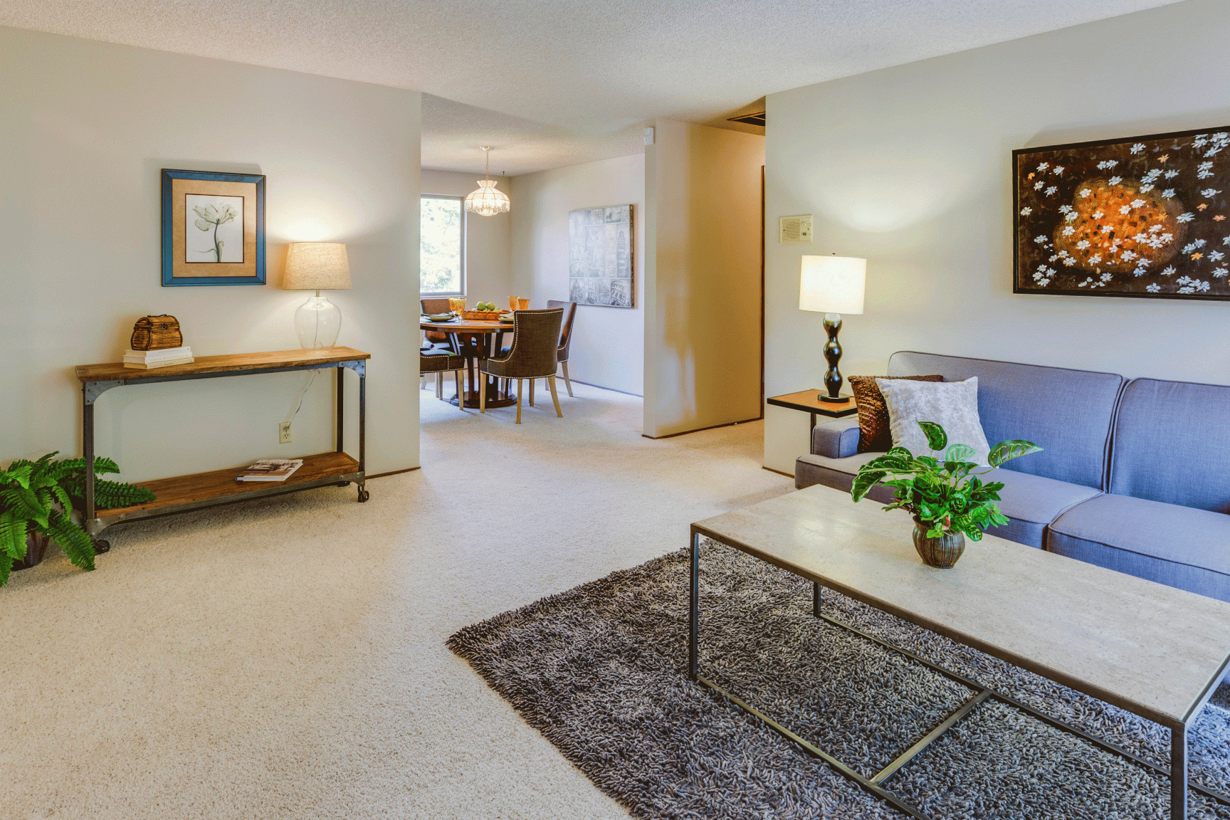 Gallery Photos