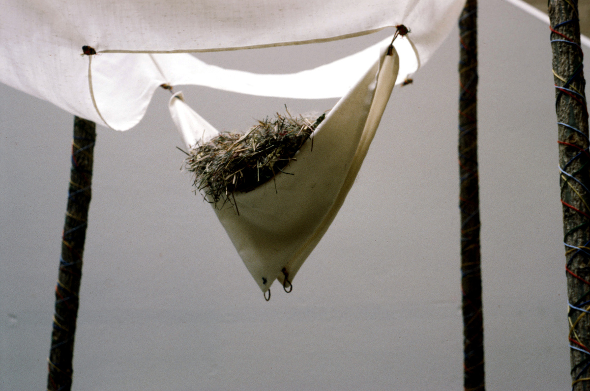 https://lynnbook.s3.amazonaws.com/flat_media/EarlyWorks_Sculpture_BoundtoFall_photoslide05.jpg https://lynnbook.s3.amazonaws.com/flat_media/EarlyWorks_Sculpture_BoundtoFall_photoslide05.jpg