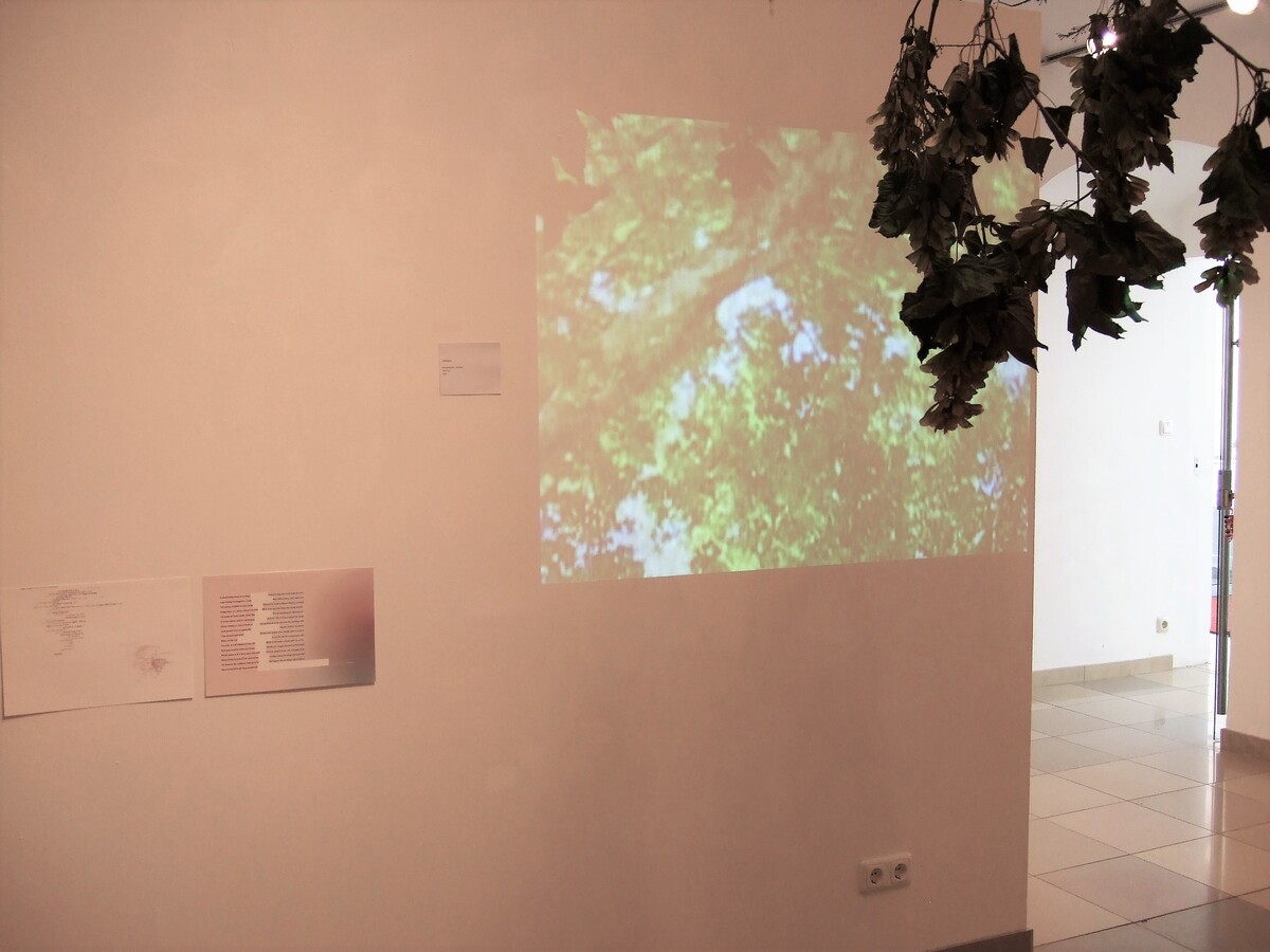 https://lynnbook.s3.amazonaws.com/flat_media/MakingNew_2008_LinzAT-BVG_exhibinstall_RENext01.jpg