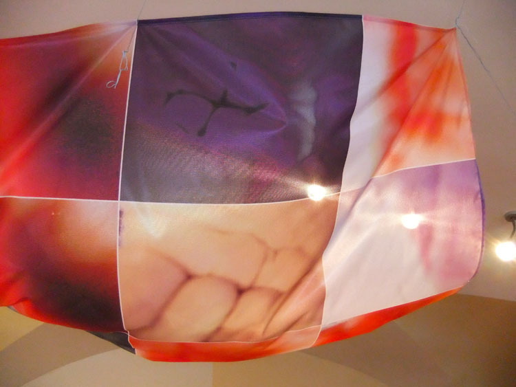 https://lynnbook.s3.amazonaws.com/flat_media/Organomics_2011_Sloven-Artstays_soundinstall_photo05.jpg https://lynnbook.s3.amazonaws.com/flat_media/Organomics_2011_Sloven-Artstays_soundinstall_photo05.jpg