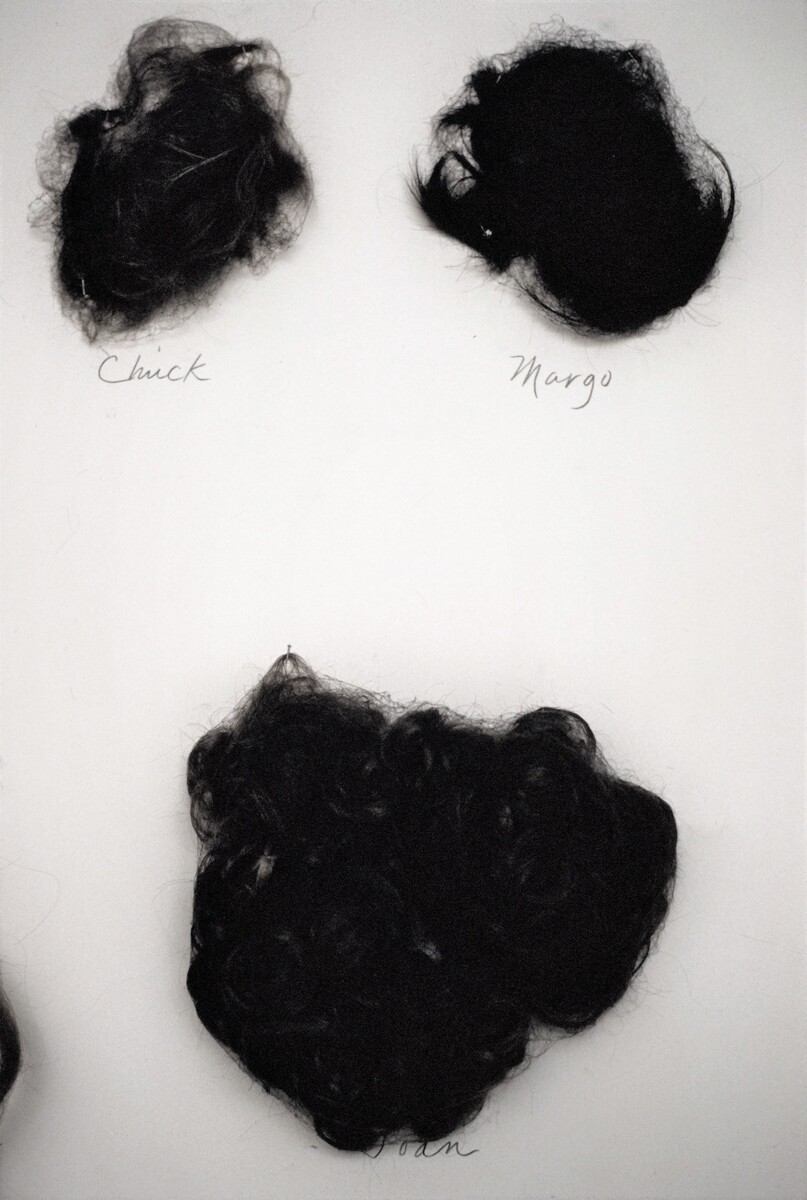 https://lynnbook.s3.amazonaws.com/flat_media/HairPiece_1980_Mphs-MCA_drawing04.jpg