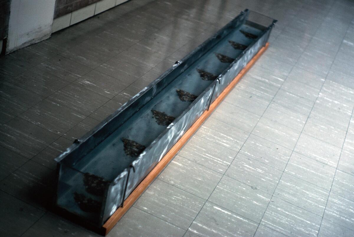 https://lynnbook.s3.amazonaws.com/flat_media/EarlyWorks_Sculpture_BacktoMom_photoslide02.jpg https://lynnbook.s3.amazonaws.com/flat_media/EarlyWorks_Sculpture_BacktoMom_photoslide02.jpg