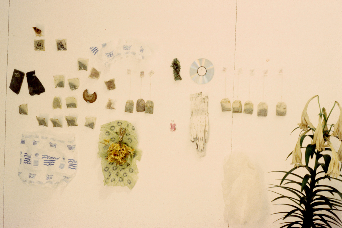 https://lynnbook.s3.amazonaws.com/flat_media/Process_MacDowellColony_photoslide10.jpg https://lynnbook.s3.amazonaws.com/flat_media/Process_MacDowellColony_photoslide10.jpg