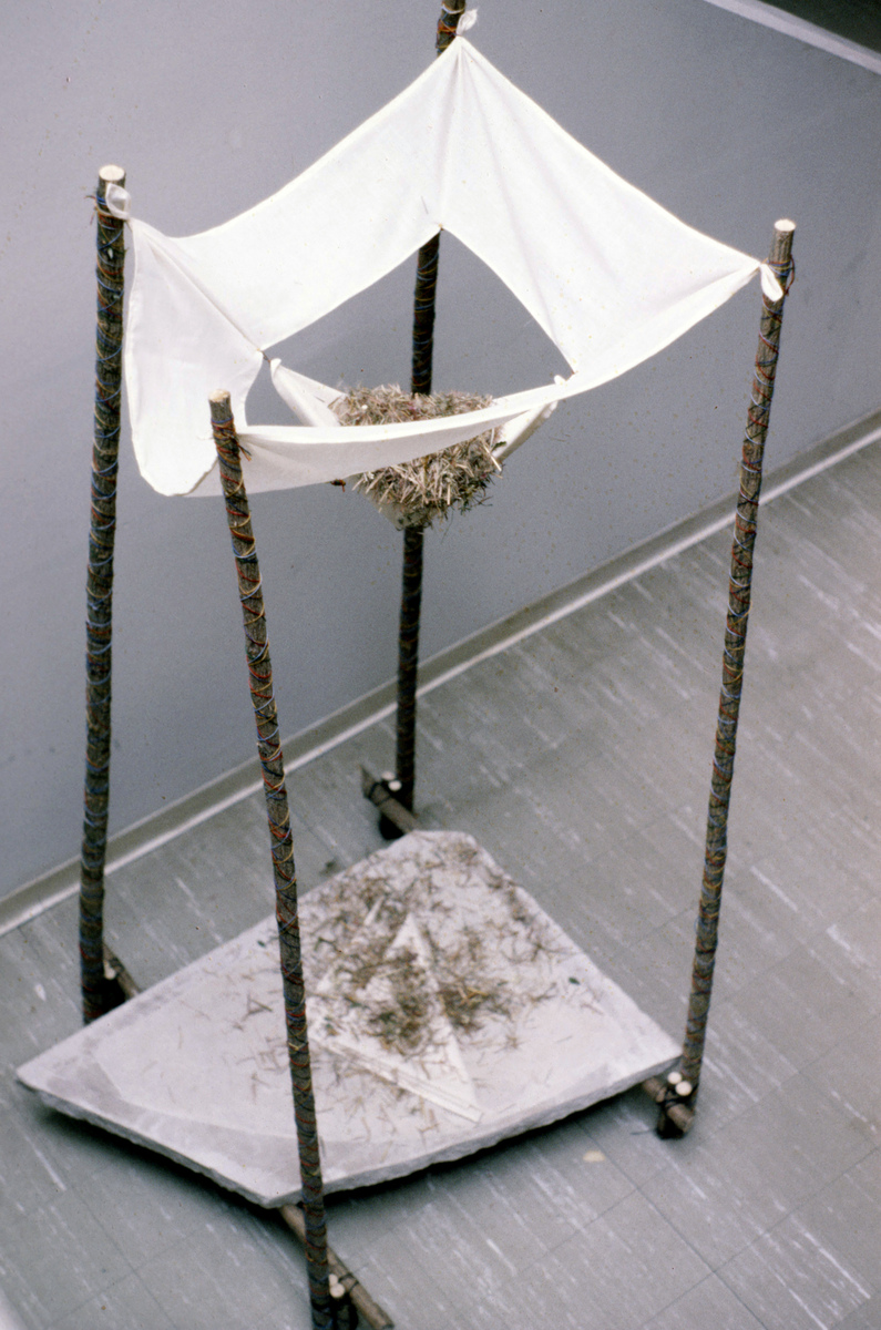 https://lynnbook.s3.amazonaws.com/flat_media/EarlyWorks_Sculpure_BoundtoFall_1980_photoslide01.jpg