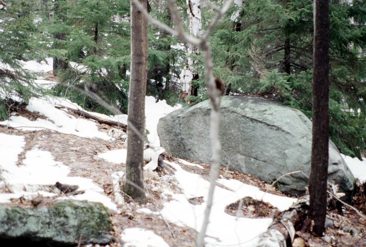 https://lynnbook.s3.amazonaws.com/flat_media/Process_MacDowellColony_photoslide20.jpg https://lynnbook.s3.amazonaws.com/flat_media/Process_MacDowellColony_photoslide20.jpg