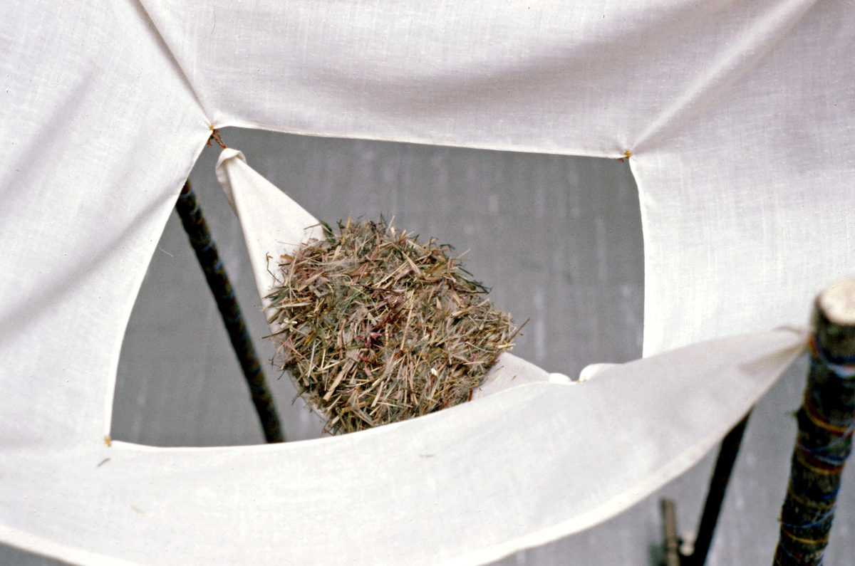https://lynnbook.s3.amazonaws.com/flat_media/EarlyWorks_Sculpture_BoundtoFall_photoslide04.jpg https://lynnbook.s3.amazonaws.com/flat_media/EarlyWorks_Sculpture_BoundtoFall_photoslide04.jpg