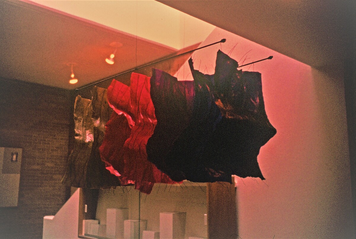 https://lynnbook.s3.amazonaws.com/flat_media/EarlyWorks_Sculpture_WiredSkins_photoslide01.jpg