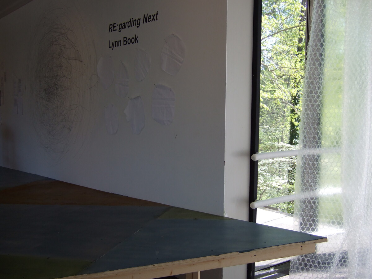 https://lynnbook.s3.amazonaws.com/flat_media/ReNext_2007_WS-SECCA_perf-exhib_exhibitionshots80.jpg