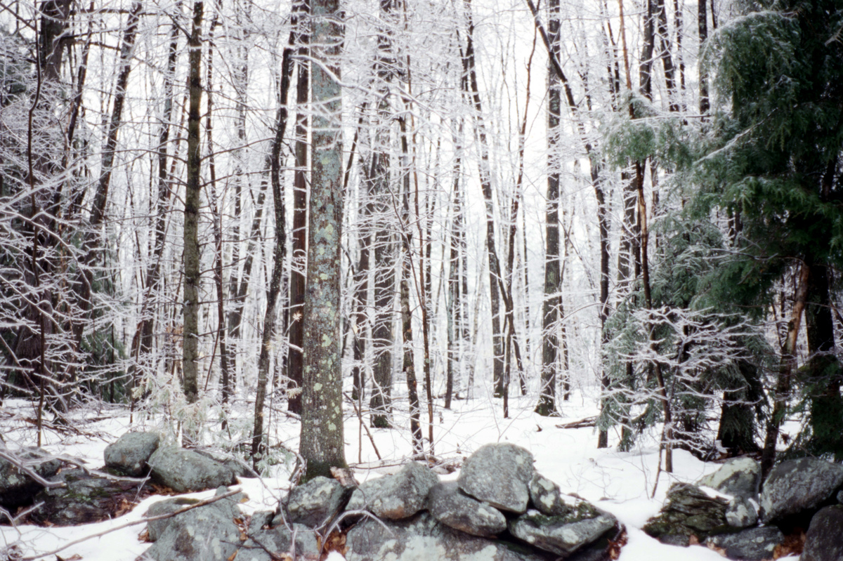 https://lynnbook.s3.amazonaws.com/flat_media/Process_MacDowellColony_photoslide17.jpg