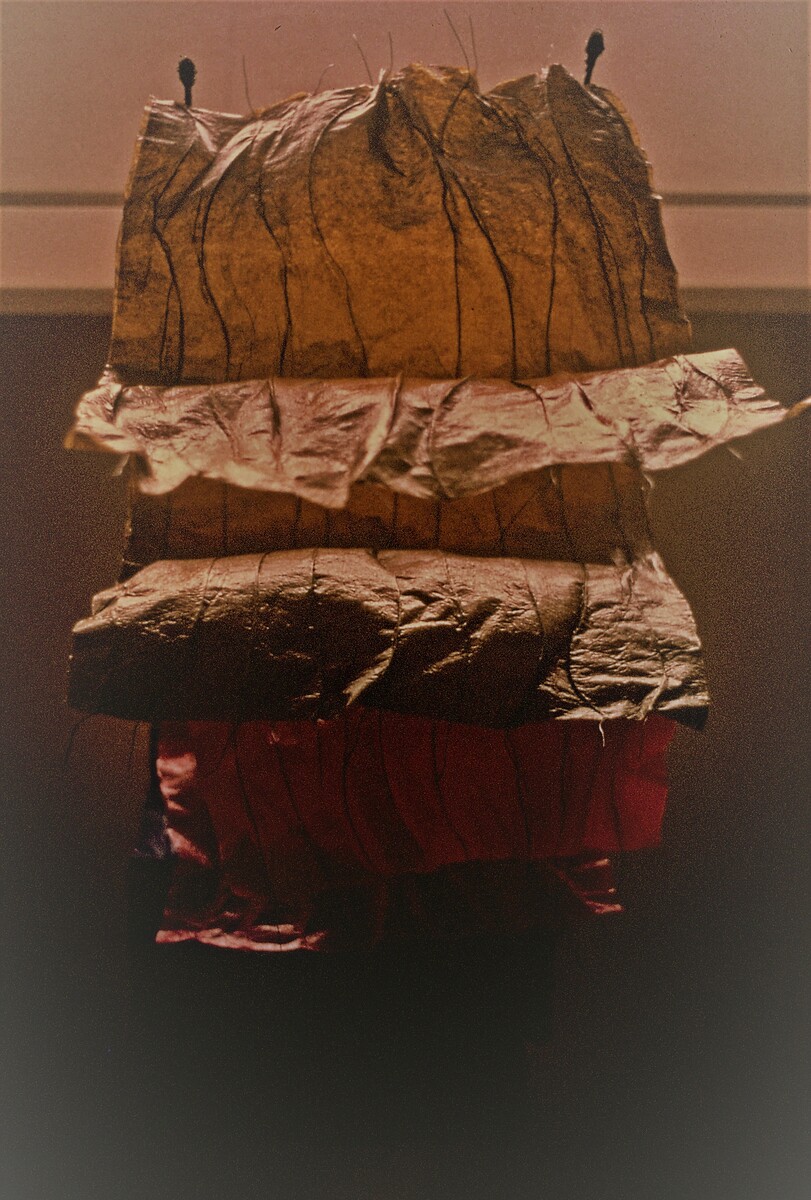 https://lynnbook.s3.amazonaws.com/flat_media/EarlyWorks_Sculpture_WiredSkins_photoslide02.jpg
