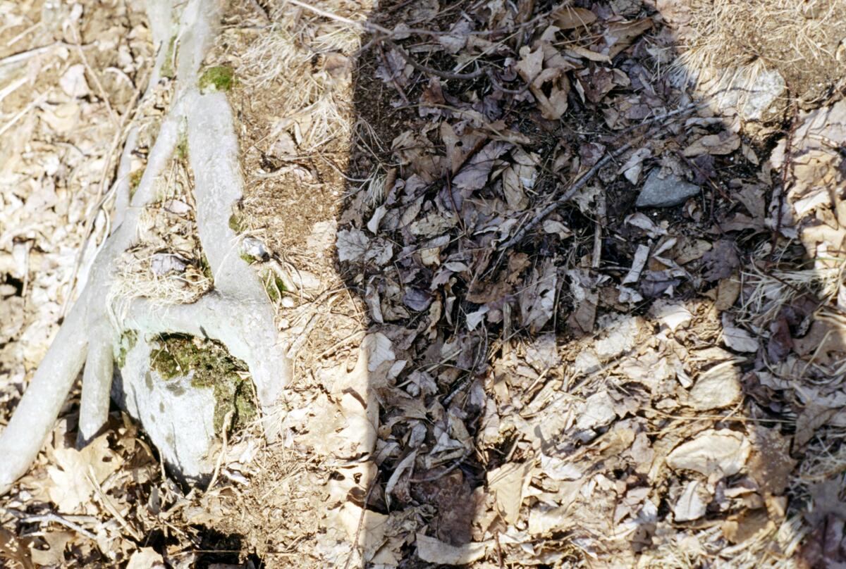 https://lynnbook.s3.amazonaws.com/flat_media/Process_MacDowellColony_photoslide21.jpg