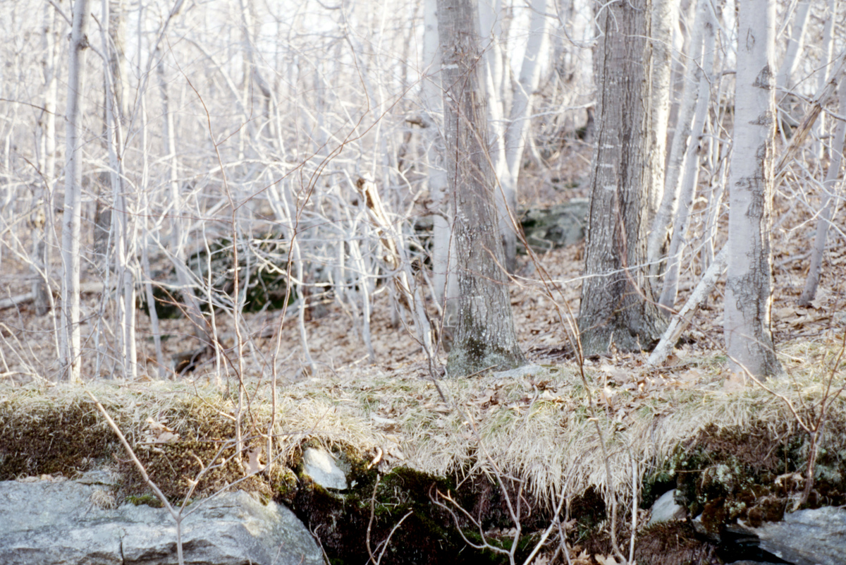 https://lynnbook.s3.amazonaws.com/flat_media/Process_MacDowellColony_photoslide18.jpg