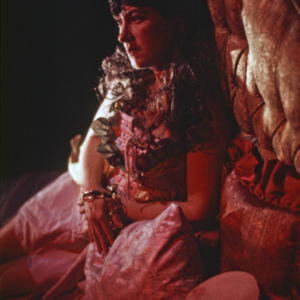 Gorgeous Fever, 1994, Chicago, Randolph Street Gallery, multimedia performance, photo slide 02