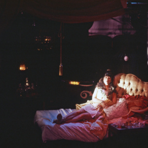 Gorgeous Fever, 1994, Chicago, Randolph Street Gallery, multimedia performance, photo slide 01