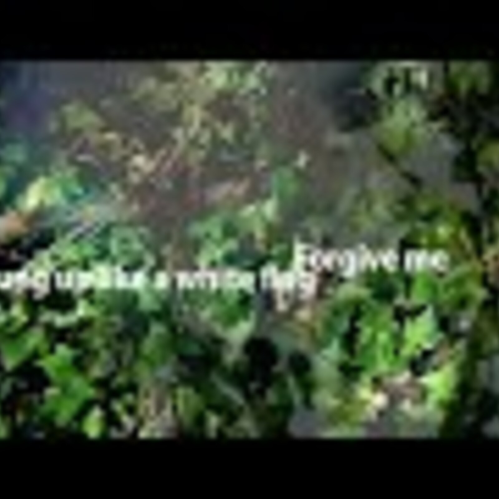 escapes, poem 6, kiss me, forrest