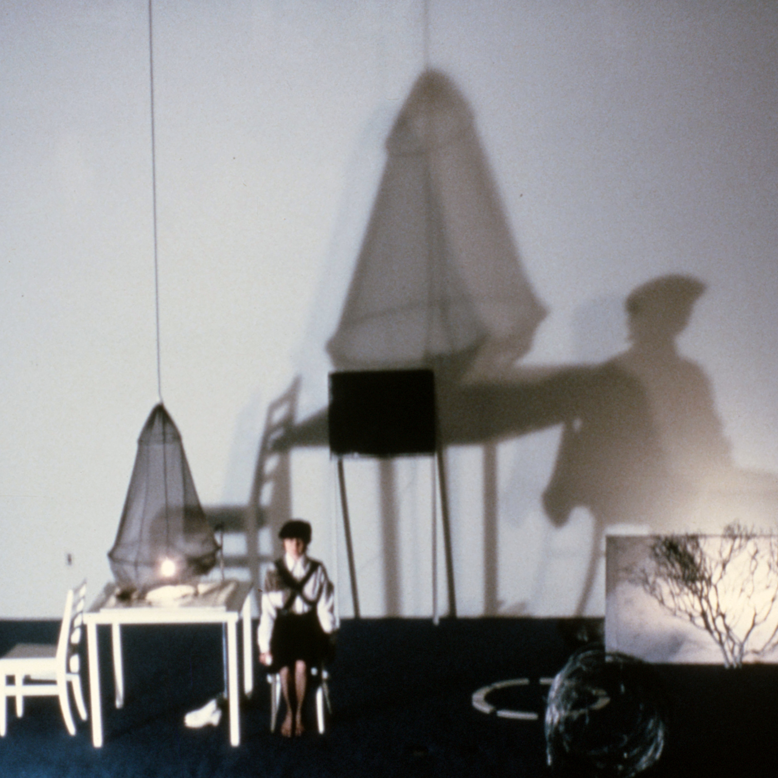 https://lynnbook.s3.amazonaws.com/flat_media/PrivateScreenings_1982_Mphs_MAA_photoslide16.jpg