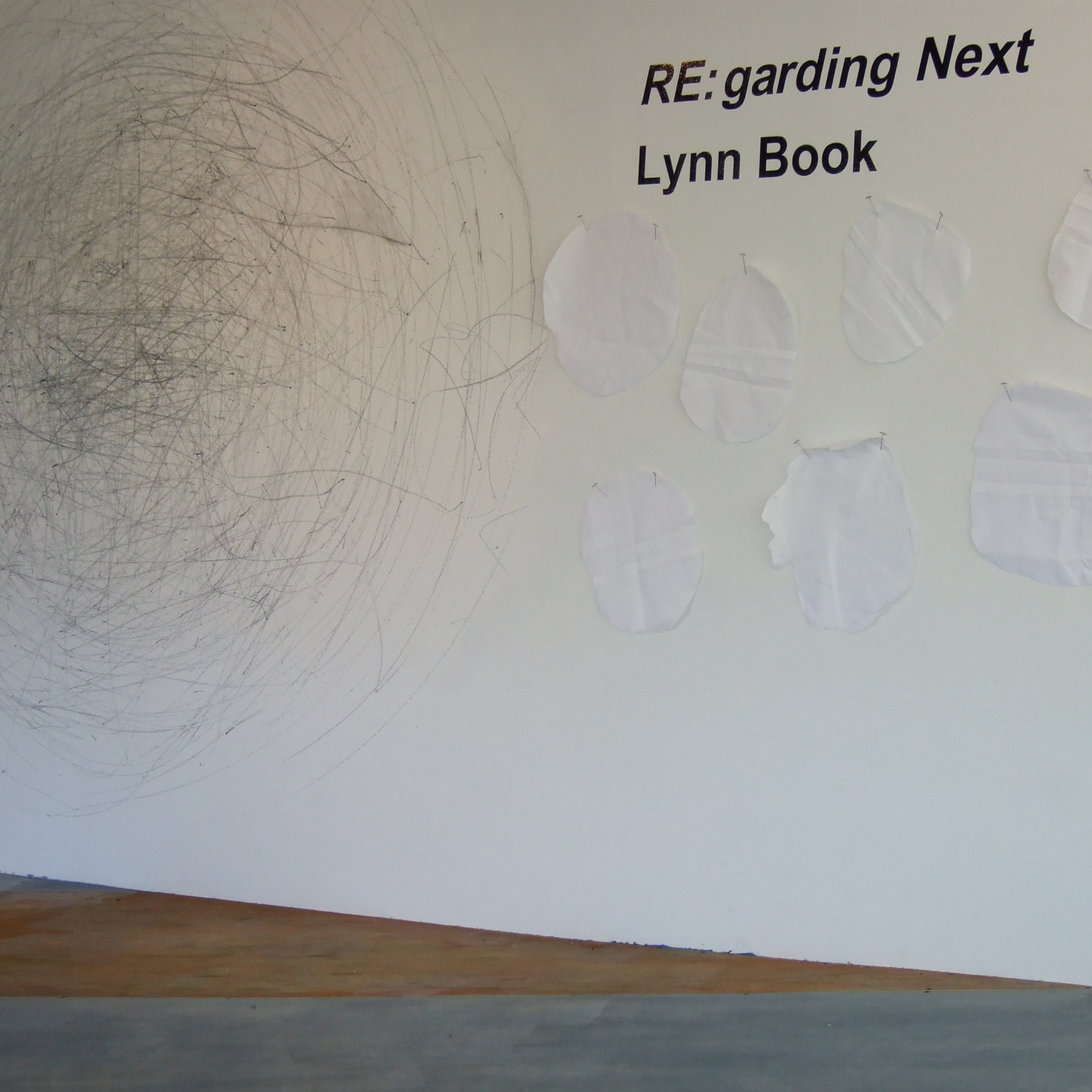 https://lynnbook.s3.amazonaws.com/flat_media/ReNext_2007_WS-SECCA_perf-exhib_exhibitionshots45.jpg