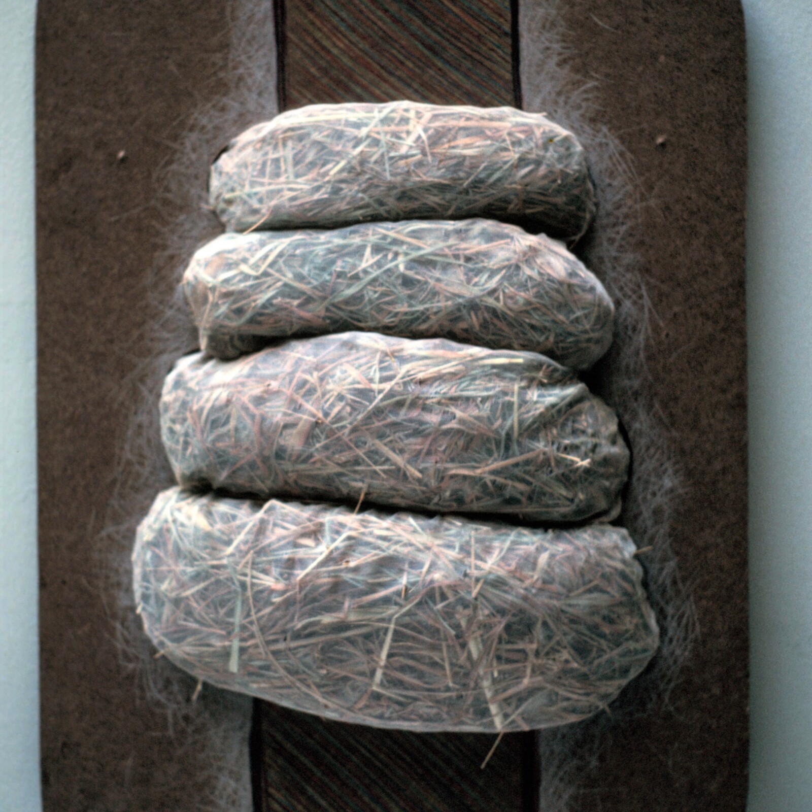 Constraint Series, 1980, Memphis, Memphis College of Art, mixed media, photo slide 05