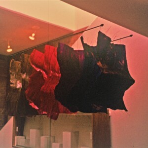 https://lynnbook.s3.amazonaws.com/flat_media/EarlyWorks_Sculpture_WiredSkins_photoslide01.jpg